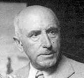 Celommi Raffaello